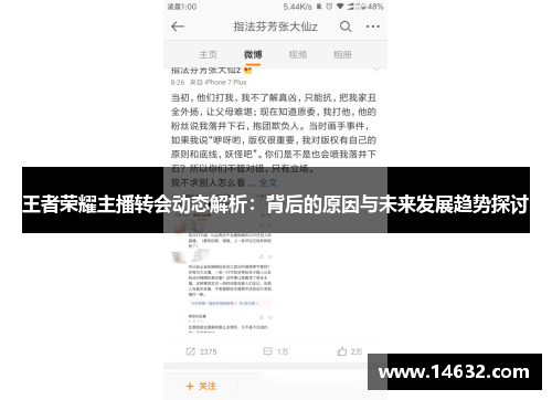 王者荣耀主播转会动态解析：背后的原因与未来发展趋势探讨